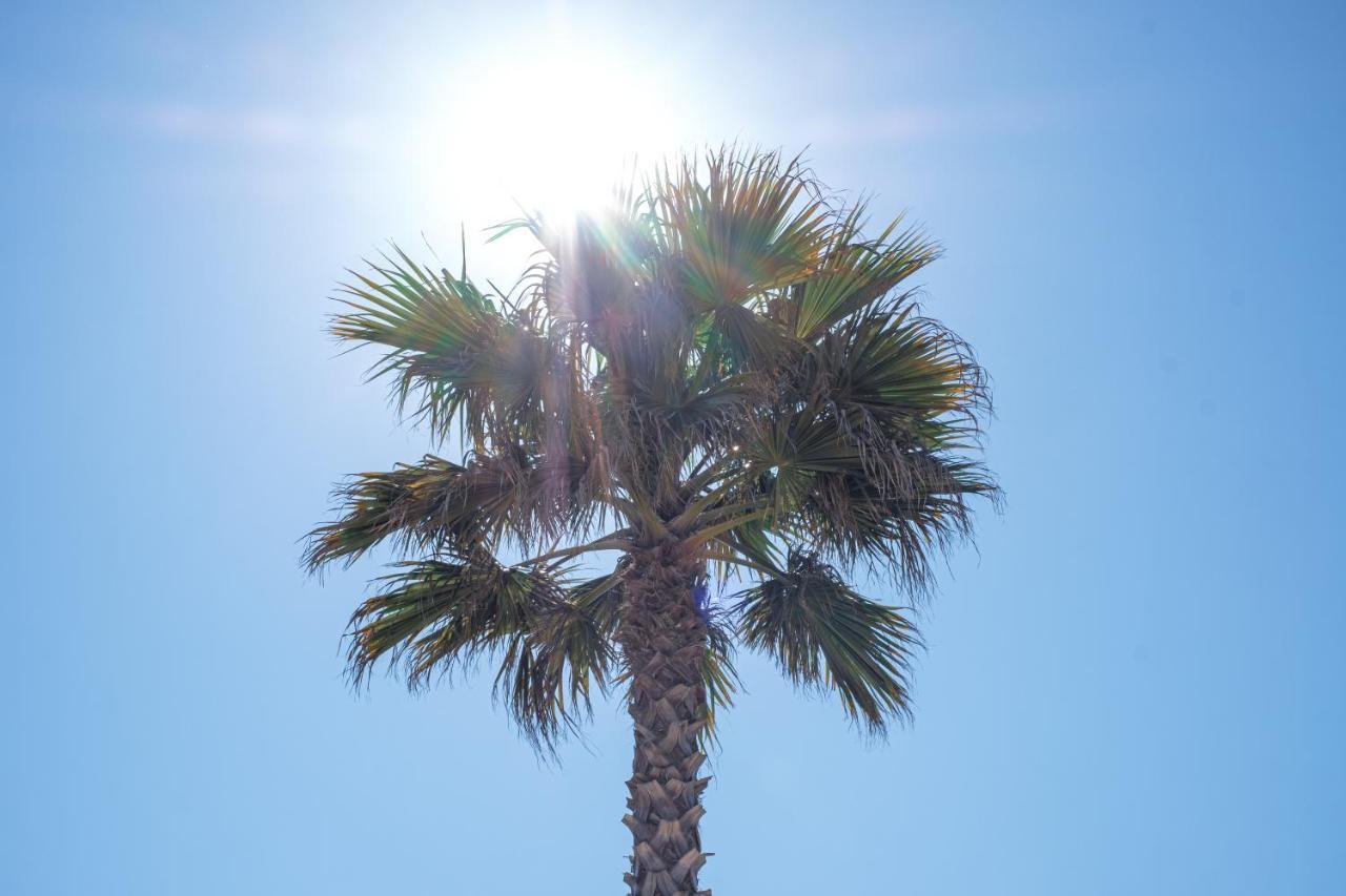 Ds One Vacances, Prairies De La Mer غريمو المظهر الخارجي الصورة